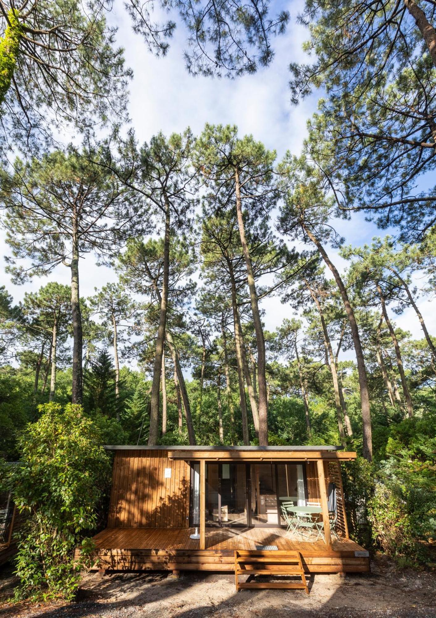Huttopia Arcachon Værelse billede
